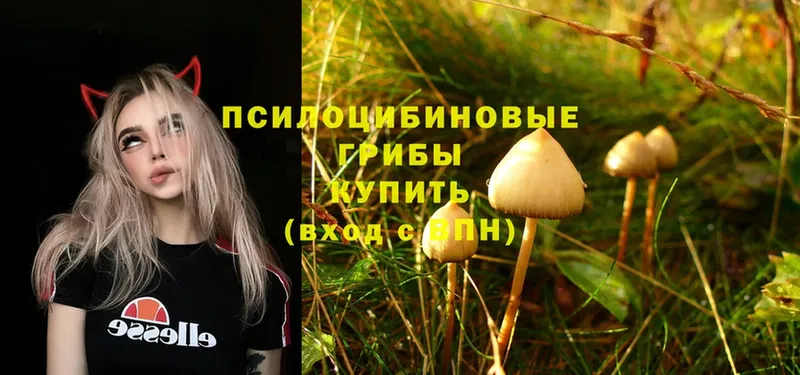 Псилоцибиновые грибы Magic Shrooms Раменское